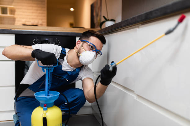 Best Rat Extermination Near Me  in Naples, TX