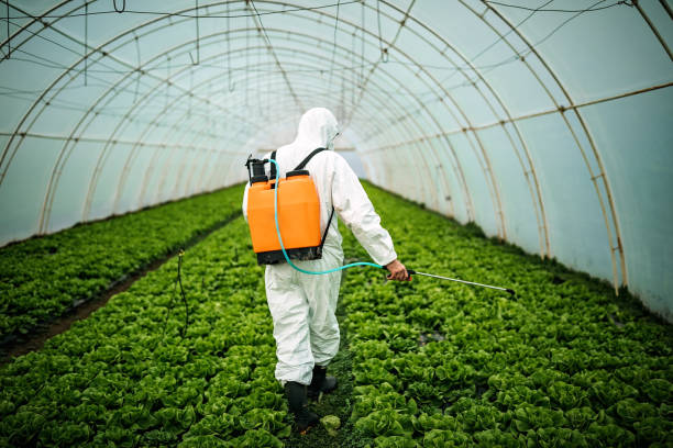 Best Best Pest Control Companies  in Naples, TX