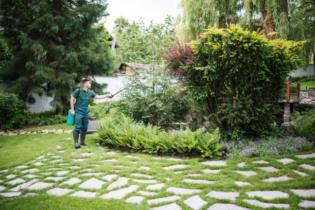 Best Best Pest Control Companies  in Naples, TX