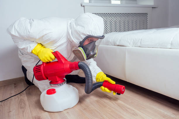 Best Mosquito Control Services  in Naples, TX