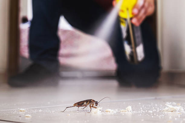Naples, TX Pest Control Company