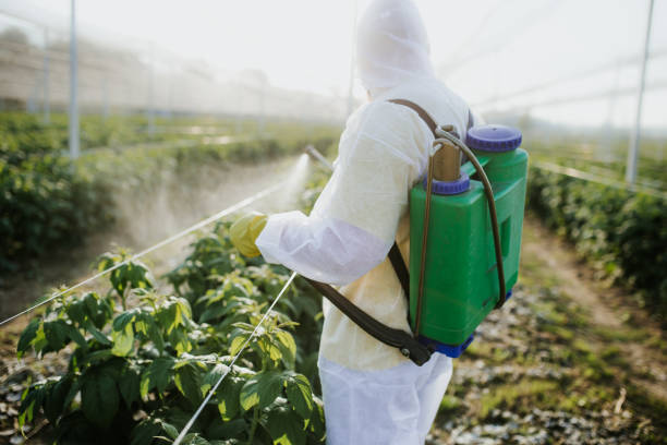 Best Residential Pest Control  in Naples, TX